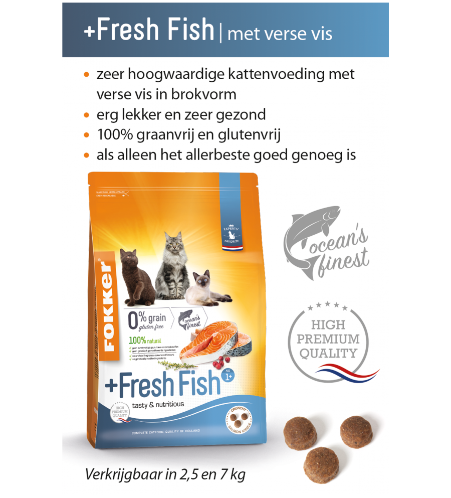 Cat +Fresh Fish