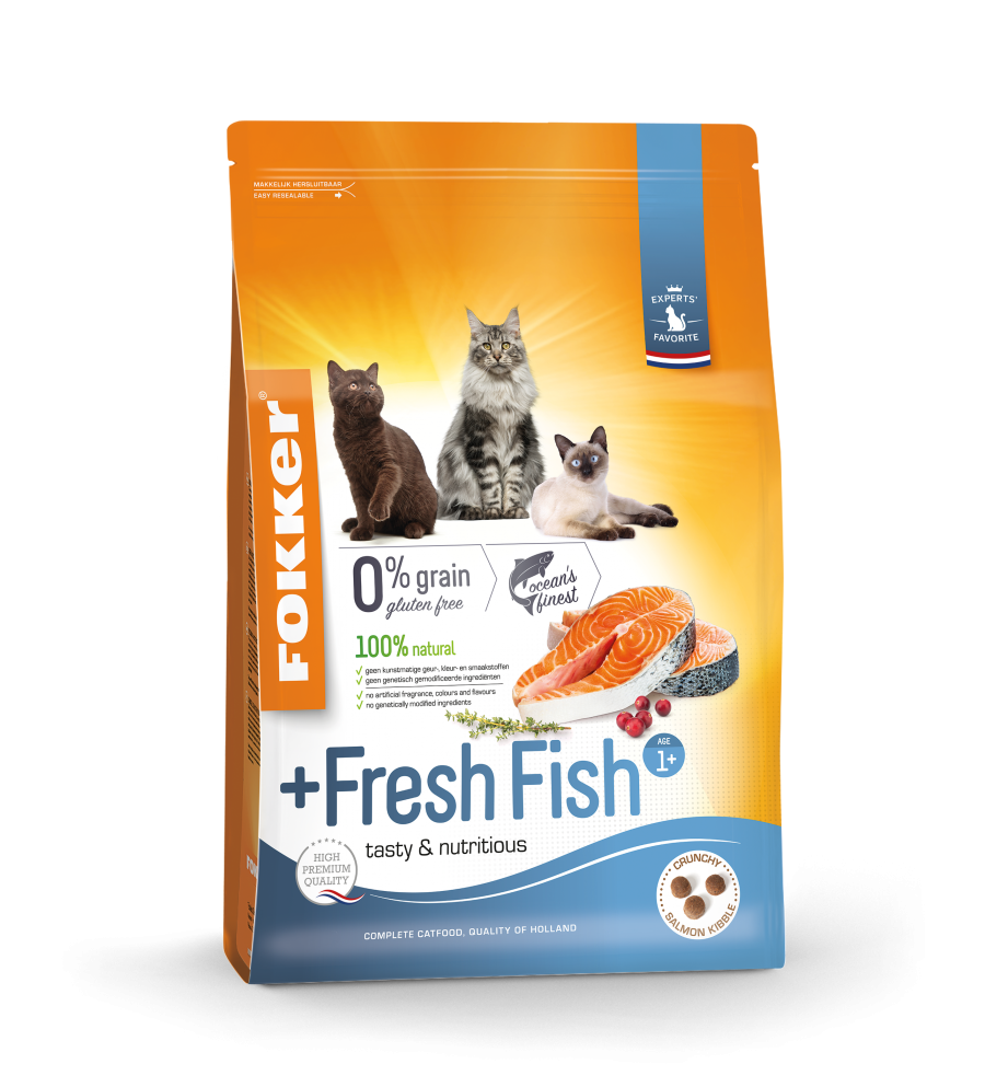 Cat +Fresh Fish